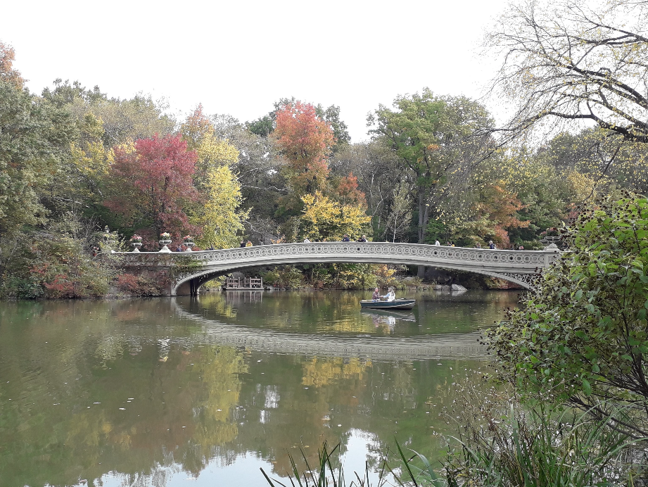 Bow Bridge (2019)