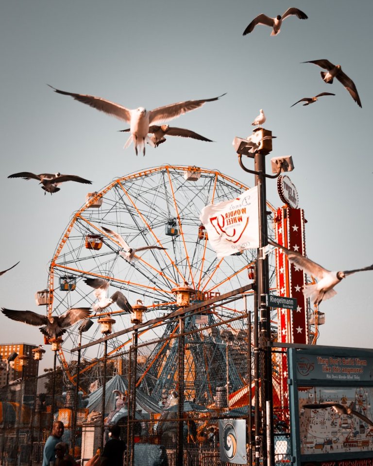 Coney Island: un viaggio tra divertimento e nostalgia