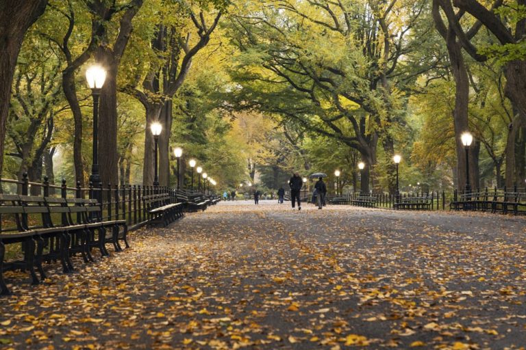 Passeggiate tra i Colori:  Ottobre d’incanto a New York con il suo Foliage