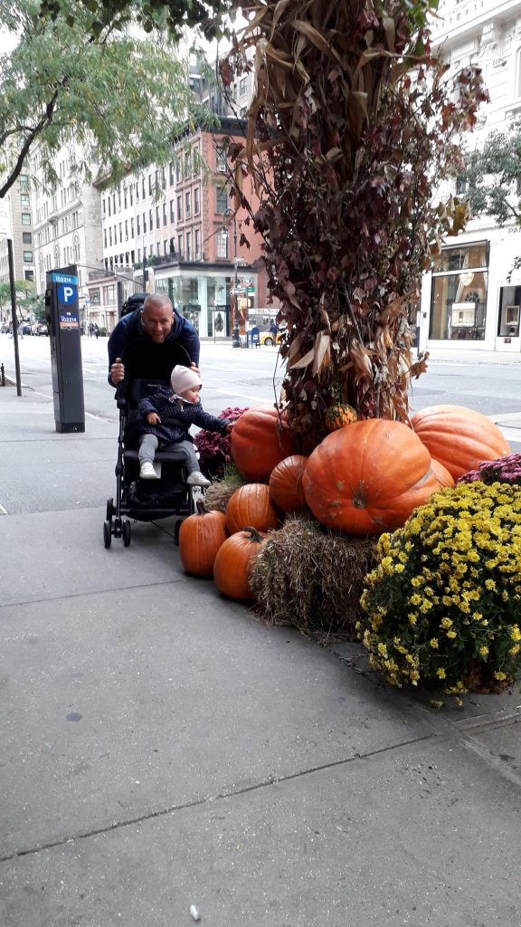 Decorazioni di Halloween 2019