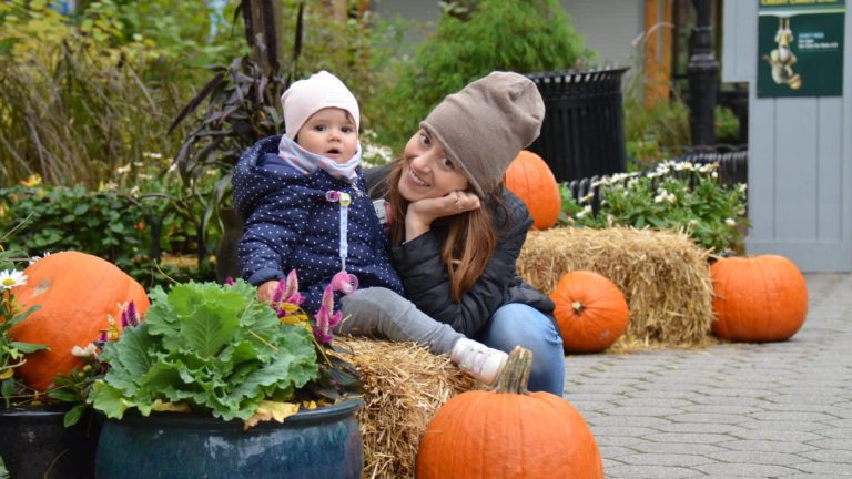 Zucche a Central Park