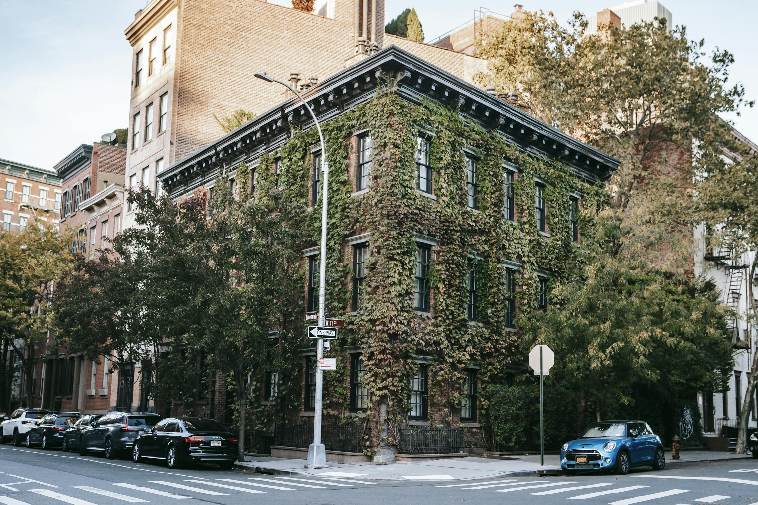 Urban street corner with brick building draped in lush ivy, cars parked, and clear signs visible.