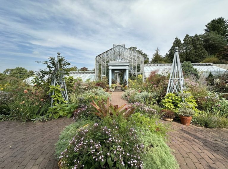 Family Art Project a Wave Hill: dove la natura incontra la creatività