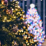 Christmas trees adorned with lights and ornaments in a festive New York City setting.