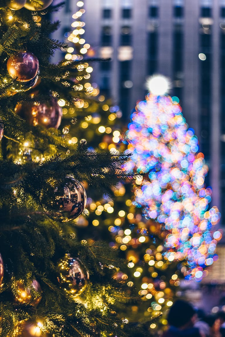 Christmas trees adorned with lights and ornaments in a festive New York City setting.