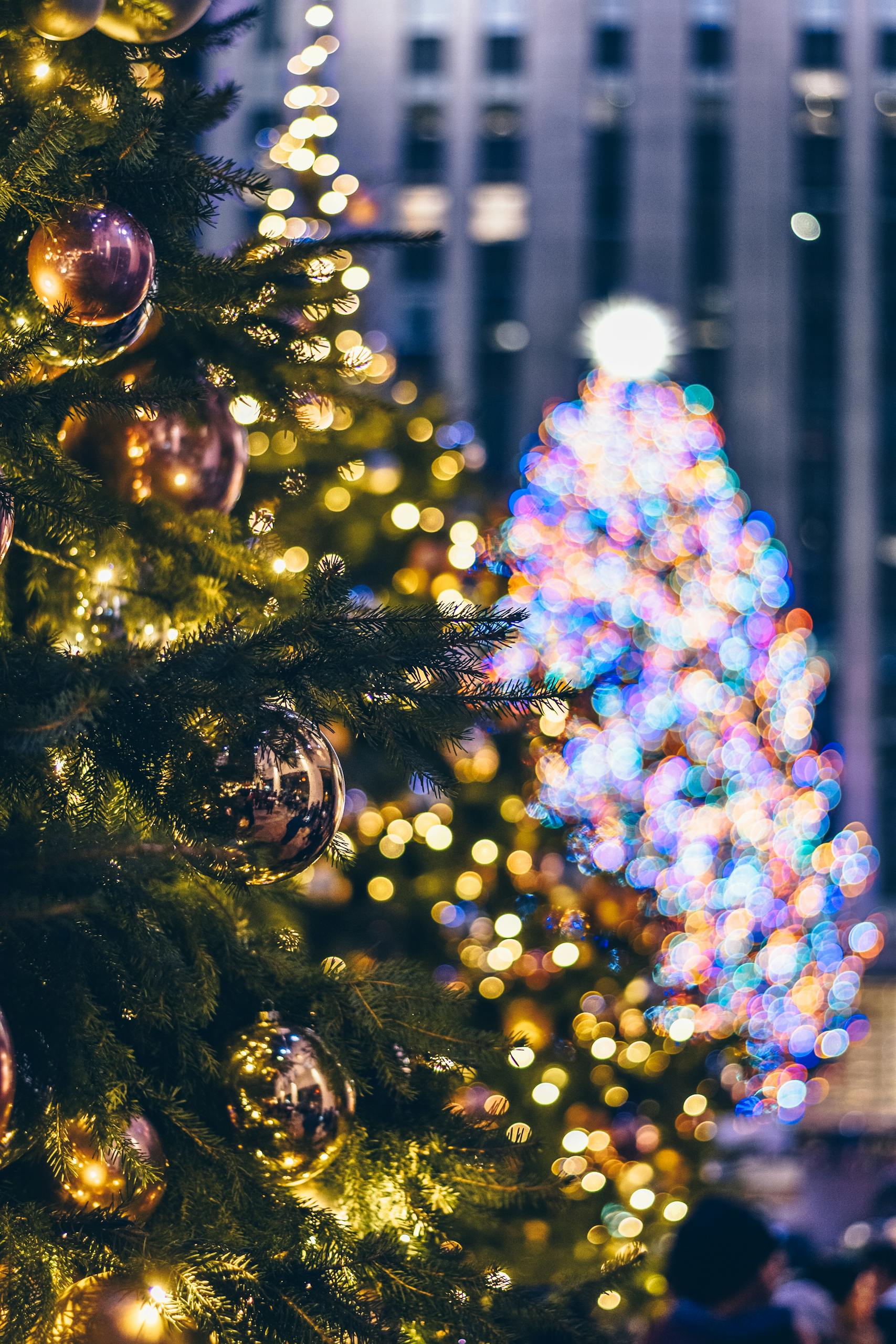Christmas trees adorned with lights and ornaments in a festive New York City setting.