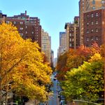 A vibrant city street lined with colorful autumn trees and bustling traffic.