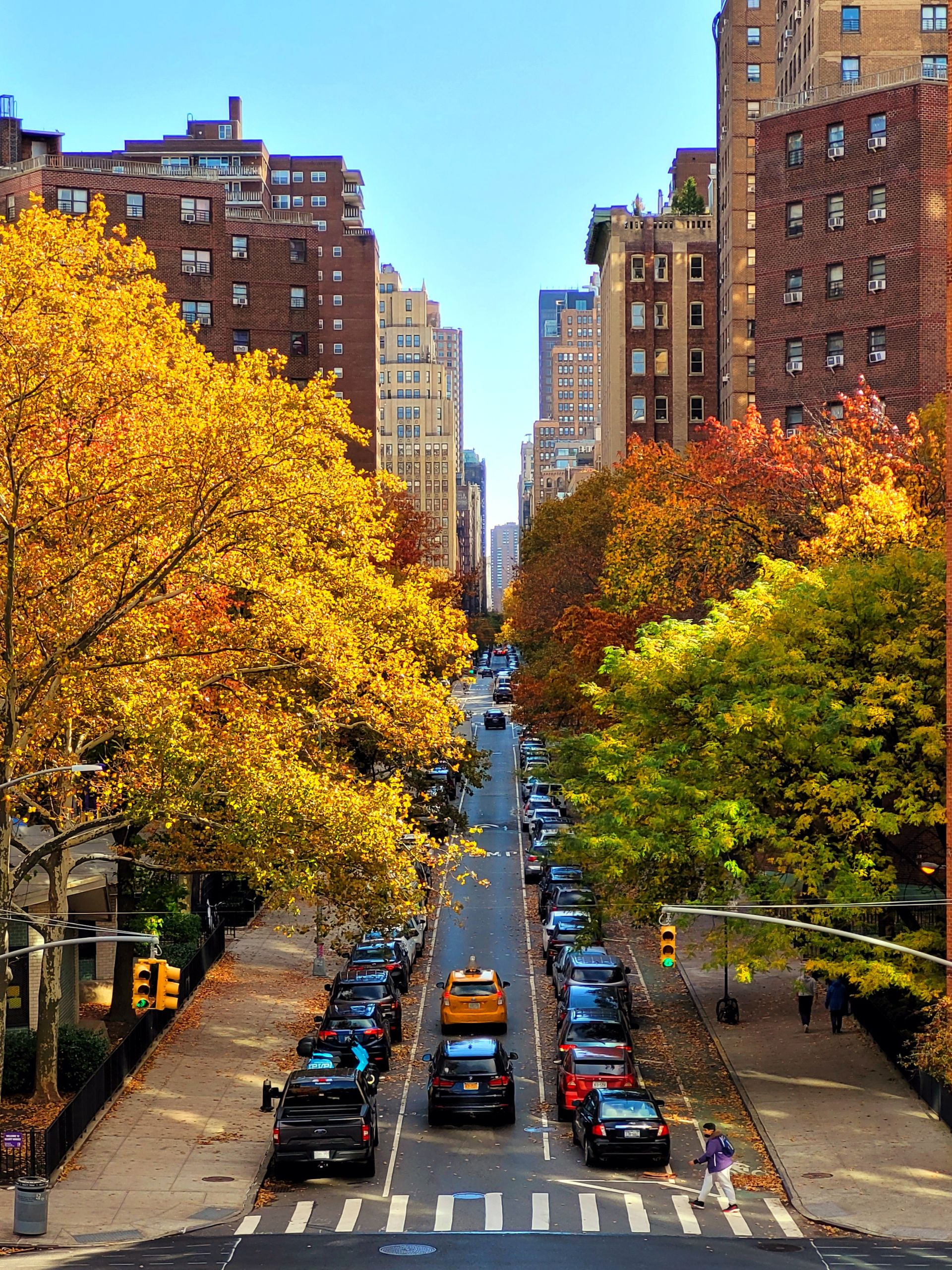 A vibrant city street lined with colorful autumn trees and bustling traffic.